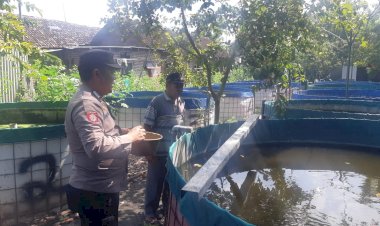 Tinjau-Upaya-Warga-Budidaya-Perikanan,-Bhabinkamtibmas-Berharap-Ketahanan-Pangan-Optimal